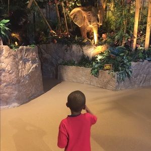 Meet your Posher, Sandra